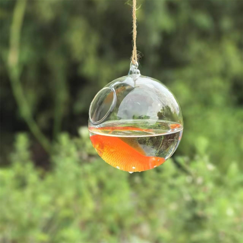 Aquarium - Diameter Kemasan Kecil=10cm 12cm 15cm 20cm