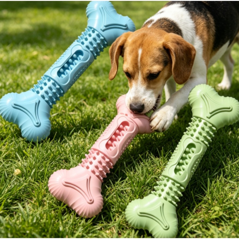 Teeth Cleaning Dog Chew Bone - Set Mainan Kunyah Hewan Peliharaan Baru