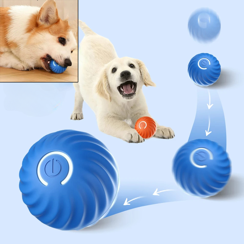 Bola Mainan Anjing Otomatis Be - Suction Cup Dog Tug Toy ulasan dan harga