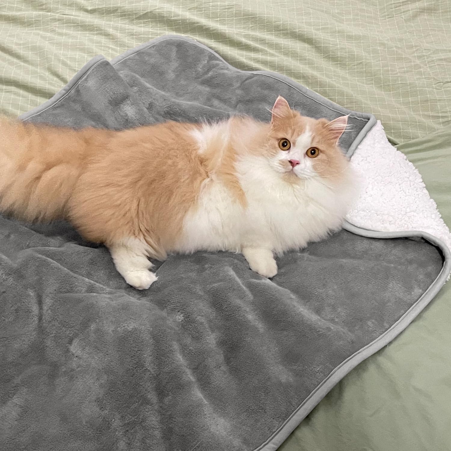 Selimut Hewan Peliharaan Warna - Pet Beds ulasan dan harga