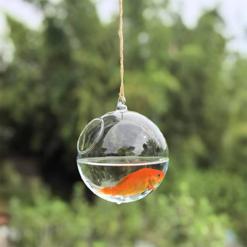 Diameter Kemasan Kecil=10cm 12 - Aquarium ulasan dan harga