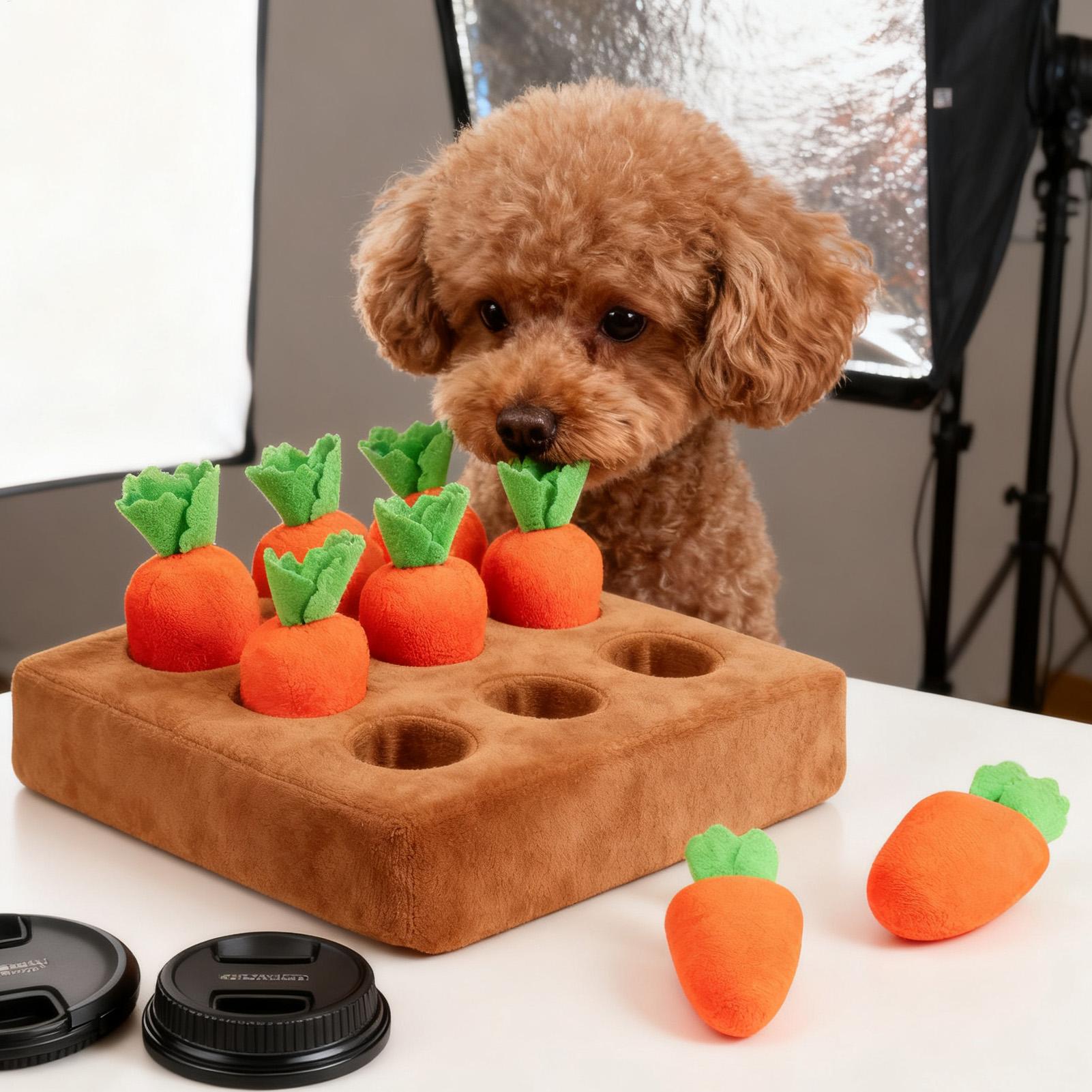 Mainan Interaktif Wortel untuk - Snuffle Mat For Dogs ulasan dan harga
