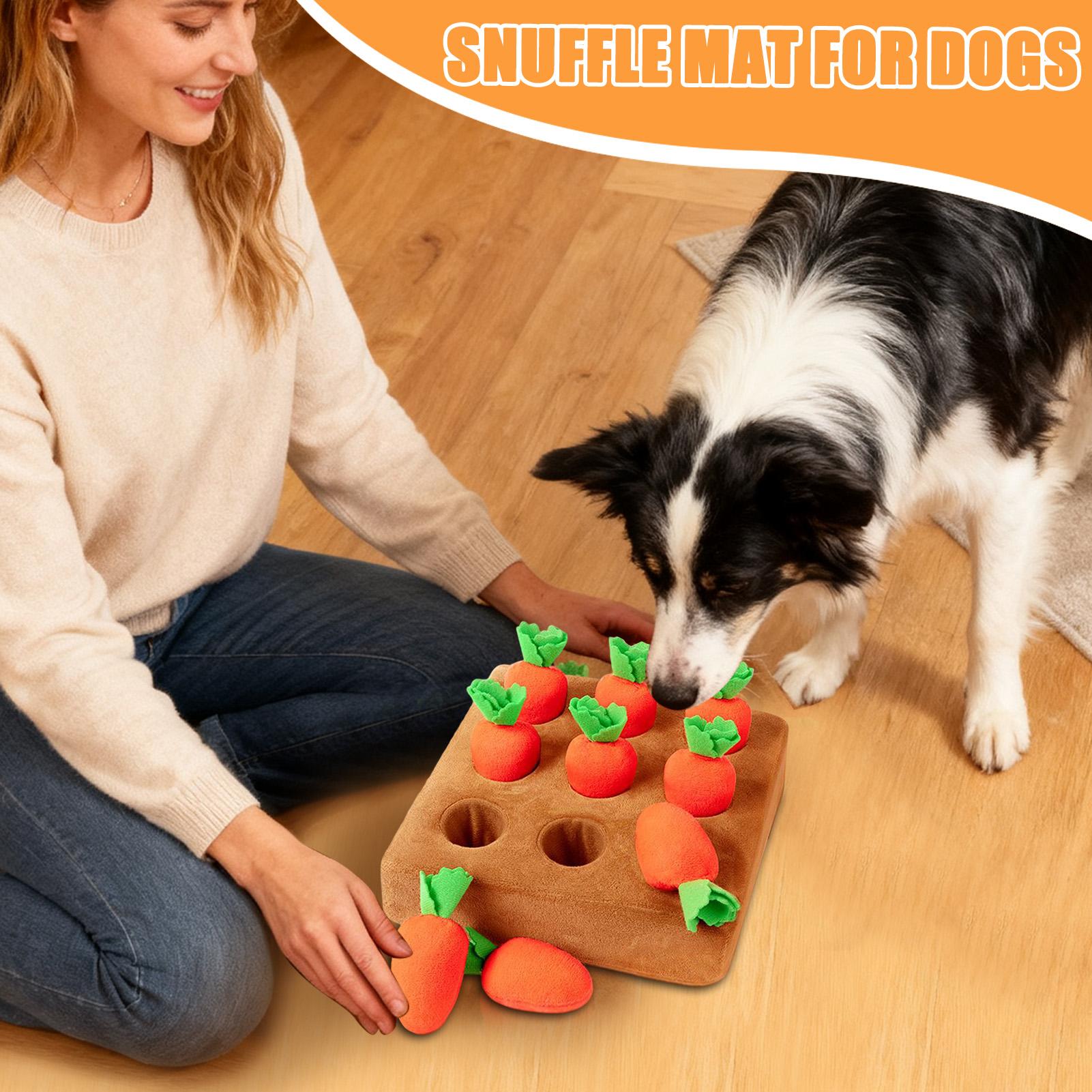 Mainan Interaktif Wortel untuk - Snuffle Mat For Dogs ulasan dan harga
