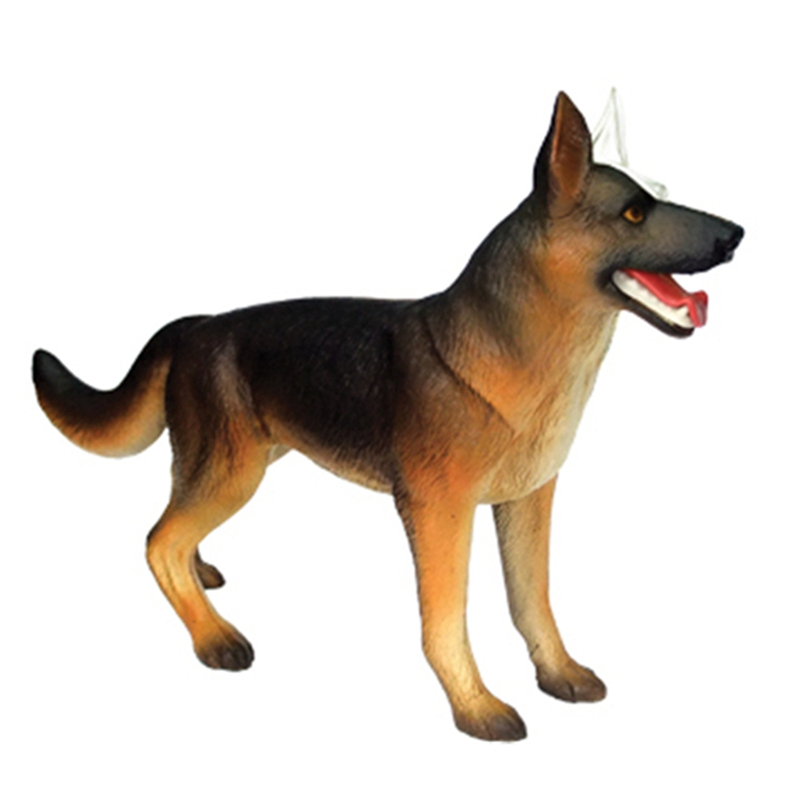 Model Anatomi Organ Hewan 4D M - Dog Toys ulasan dan harga