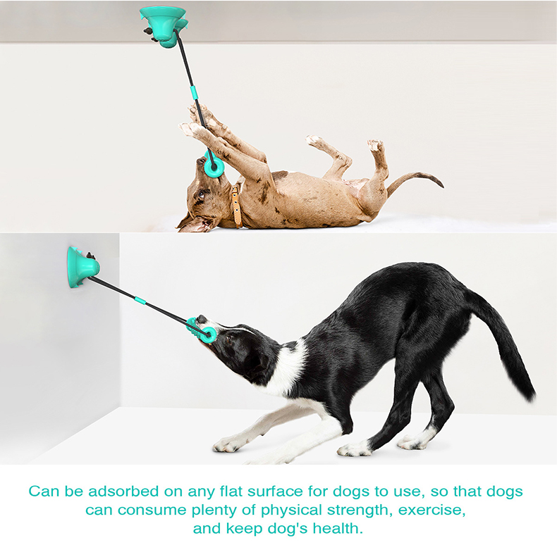 Mainan Tali Gigit Anjing denga - Suction Cup Dog Tug Toy ulasan dan harga
