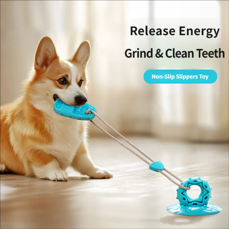 Mainan Tarik Anjing dengan Suc - Suction Cup Dog Tug Toy ulasan dan harga