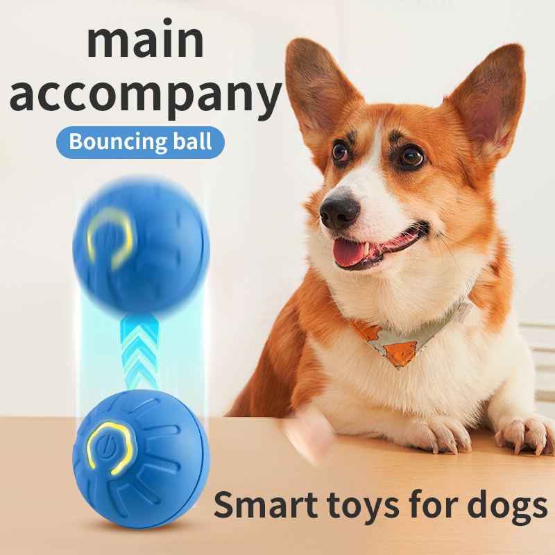 Bola Mainan Anjing Otomatis Be - Automatic Moving Dog Ball ulasan dan harga