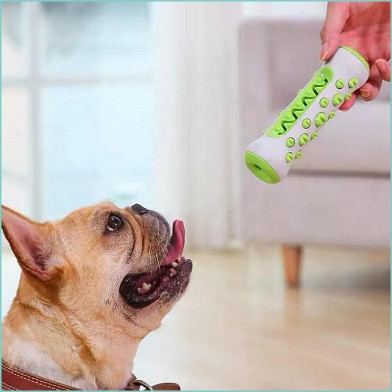 Mainan Kunyah Tulang Gigi Anji - Teeth Cleaning Dog Chew Bone ulasan dan harga