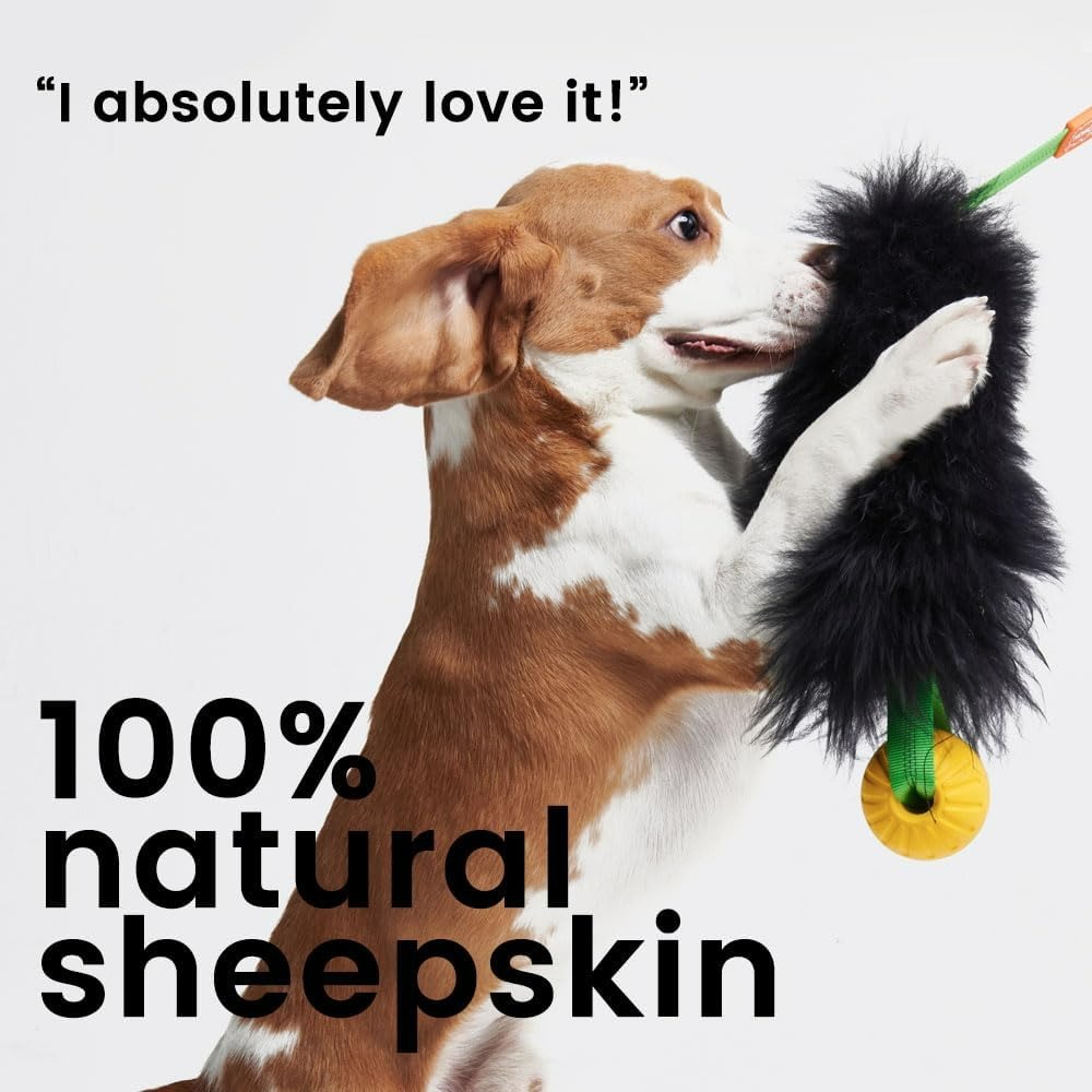 Mainan Tali Anjing Interaktif, - Indestructible Dog Chew Toy ulasan dan harga